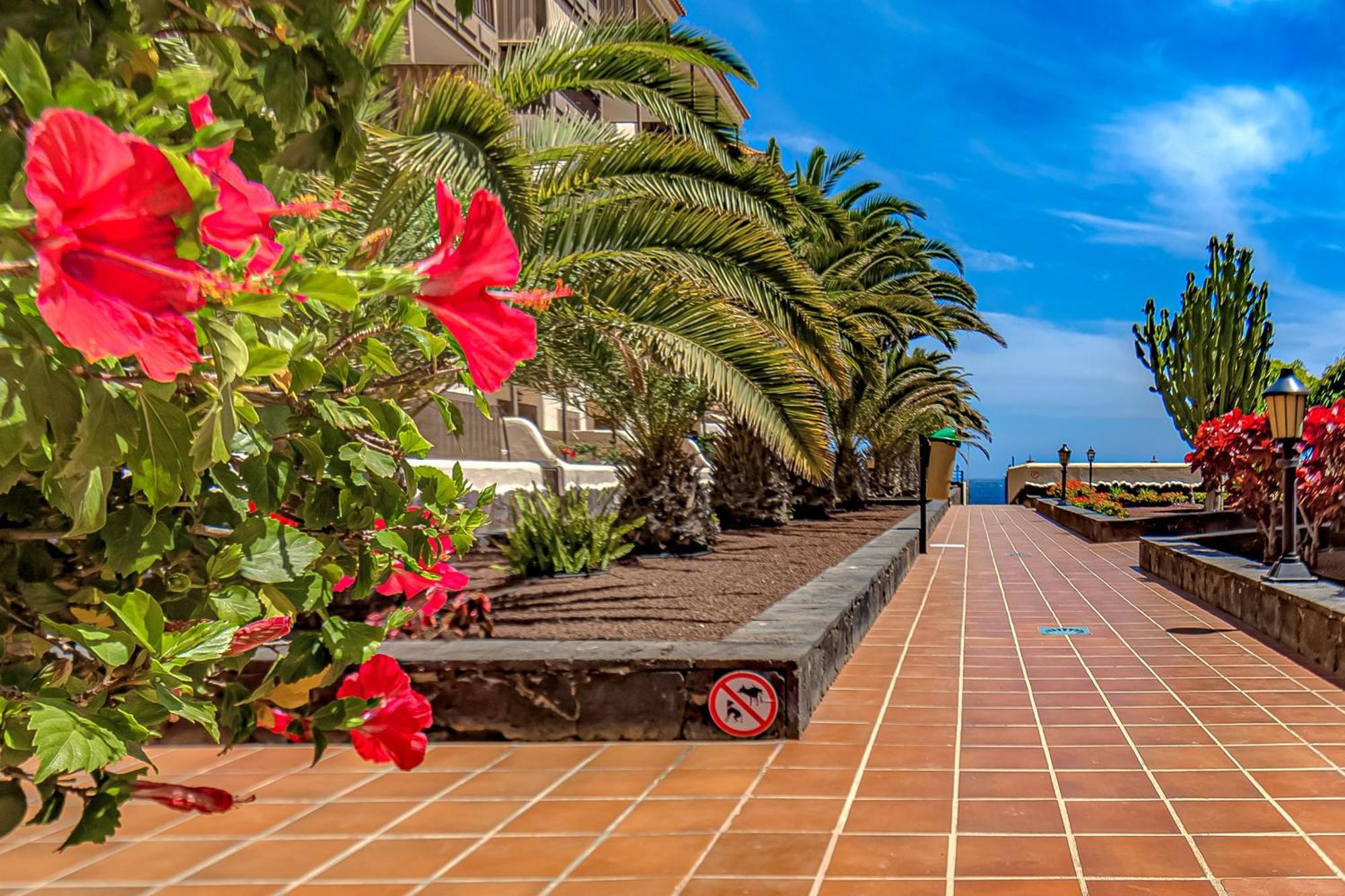 Atlantis 3 One Bedroom, Sea Front, In Complex With Pool กอสตา เดล ซิเลนซิโอ ภายนอก รูปภาพ